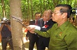 Cao su Việt Nam trên đất trung Lào 